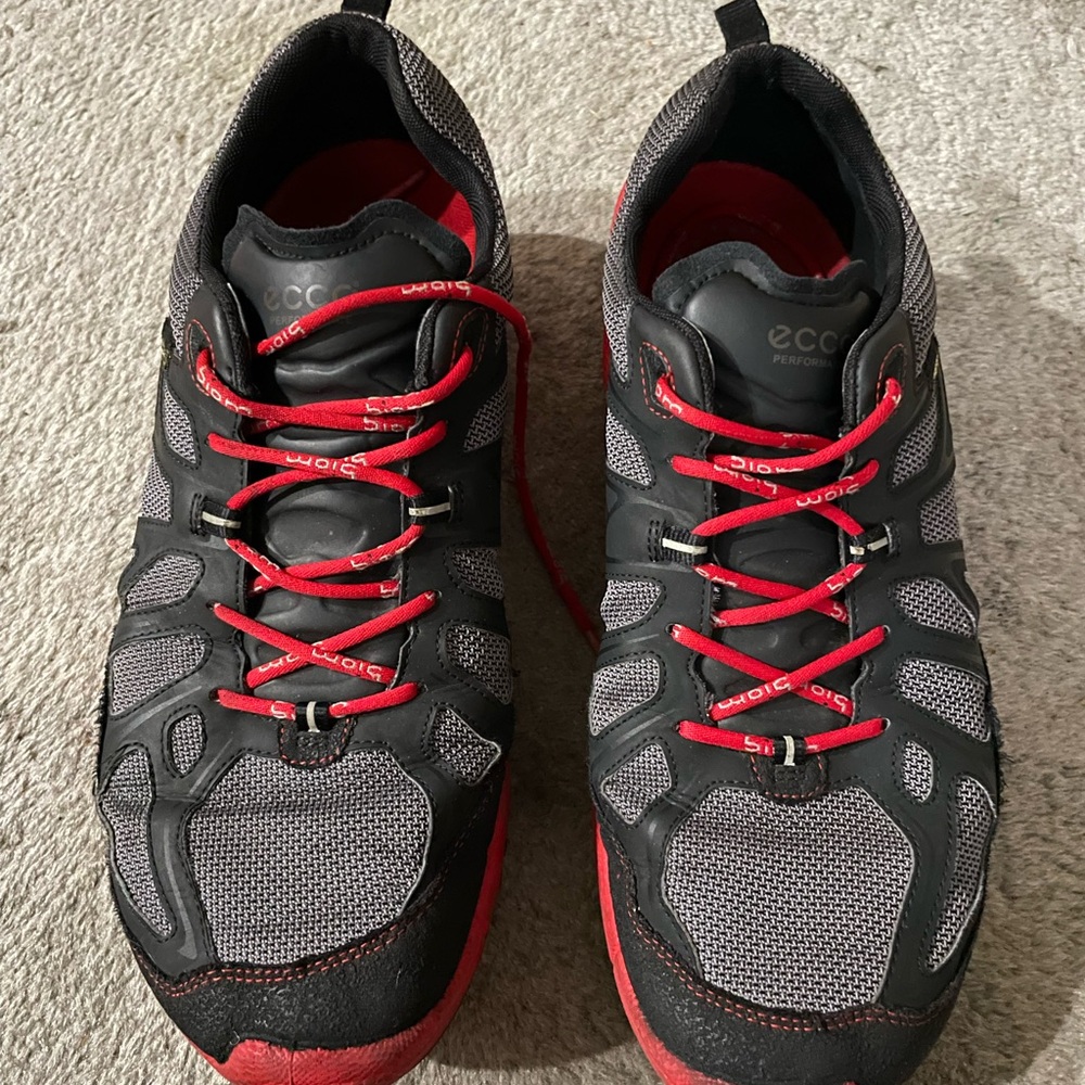 Men’s Ecco Biom Trail Gore-Tex Hiking Shoes